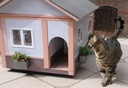 Le chat entre dans sa maison